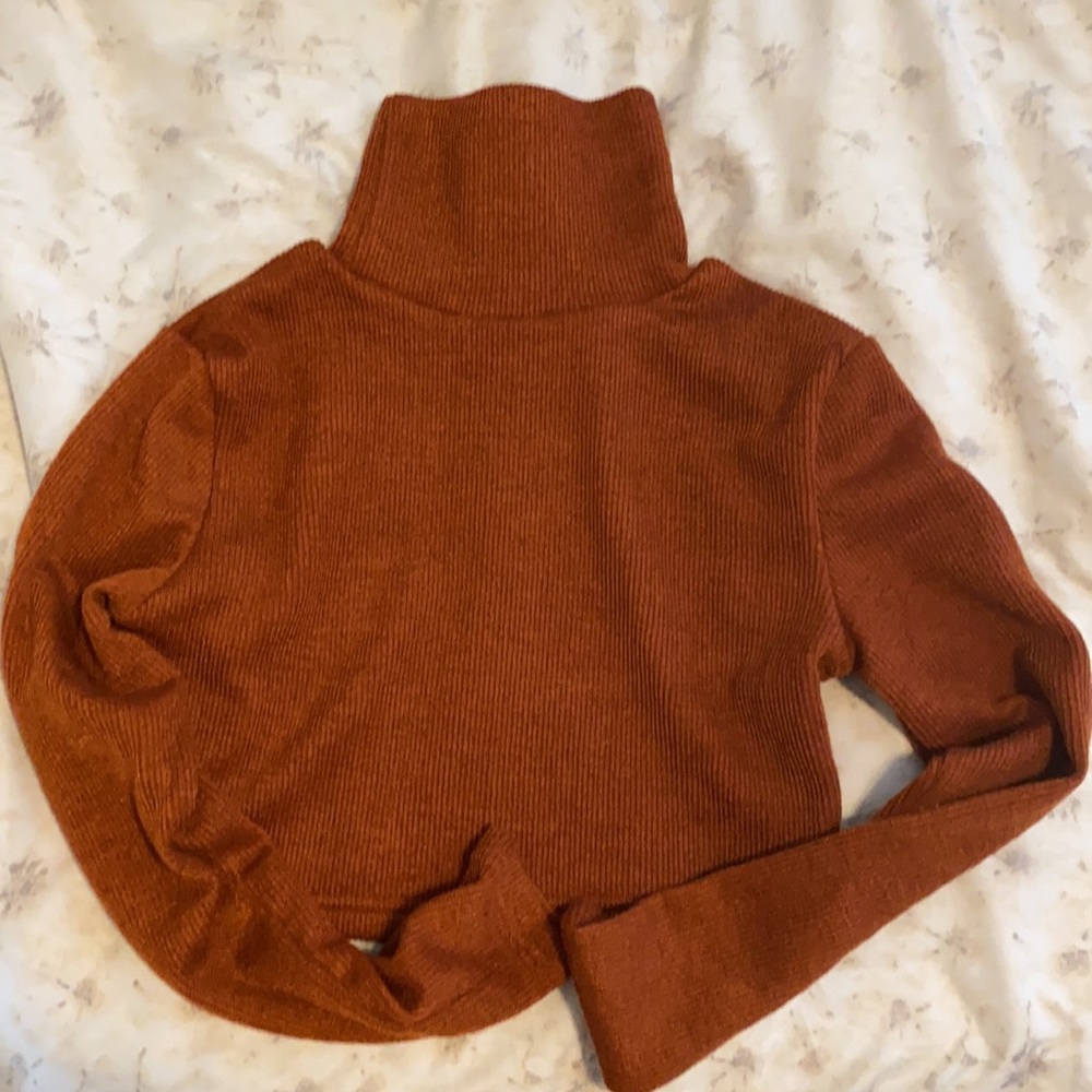Turtle Beck Rib-Knit Crop Top - Picture 4 of 4